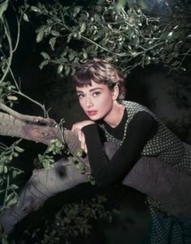 Audrey Hepburn  - it's so audrey (11)