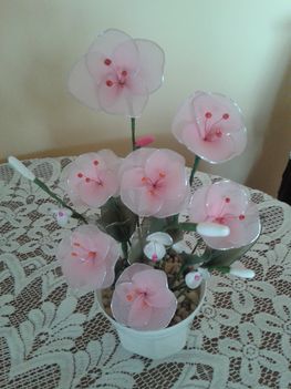 rózsaszínü virág