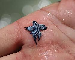 glacus atlanticus - "kék sárkány"