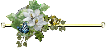 fehér virágok 3