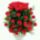 Voros_rozsa_6_1797693_8984_t