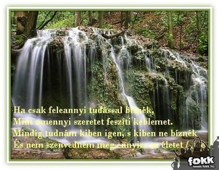 Nemes József Joe:Ha csak feleannyi
