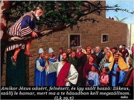 Ige a mai  napra