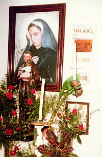 A kapuvári Assisi Szent Ferenc béketemplom és kolostor