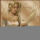 Ha_valakit_szeretsz_engedd_el_1070389_6642_t