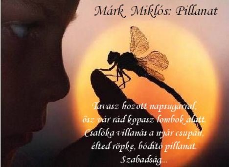 Márk Miklós, Pillanat
