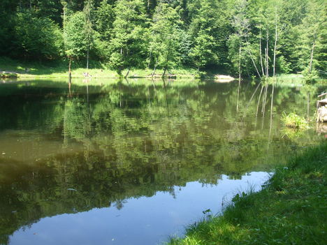 Putnoki  tó.