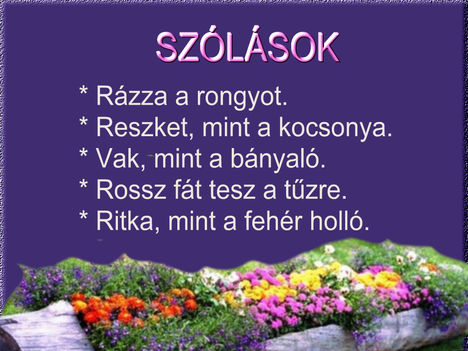 Szólások, közmondások 8