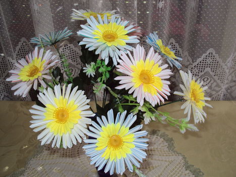Virágaim 087