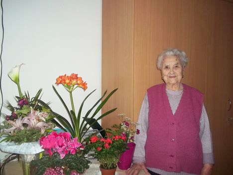 a 95 éves Juliska néni virágaival