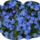 Images_1811085_5139_t