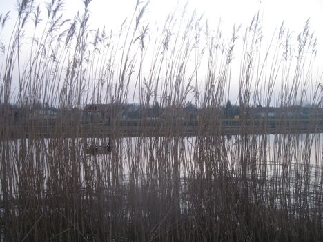 Kerék-tó, 2014. február