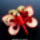 Quilling___pillango-001_1811746_5793_t
