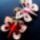 Quilling__pillango-001_1811757_6717_t