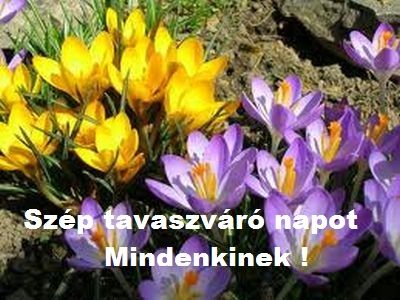 Szép tavaszi napot...