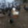 Vendegsegben_a_rokonoknal_1811218_2445_t