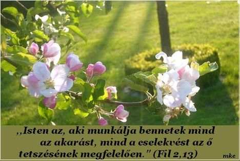Ige  a  mai  napra