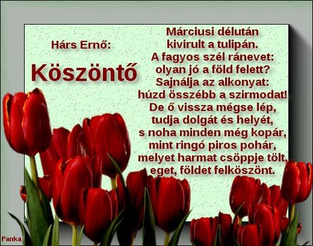 Köszöntő
