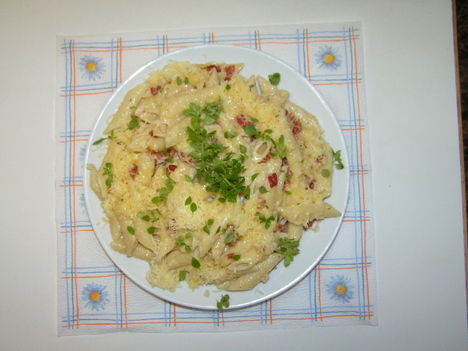 Penne szénégető módra