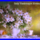 Szep_vasarnapot_1410275_9219_n_1812968_7959_t