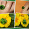 Zöld gyűrű rivolival