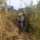 Csibeszek_gifs_08_1813892_3630_t