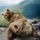 Ezt_jol_meggondoltad_1813864_4138_t
