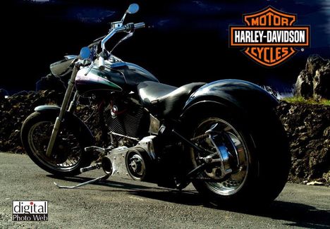 Harley Davidson-045