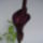 Kinyilt_a_leopardpalma_3_1813830_5059_t