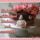 Marton_gusztavne__edit-001_1813669_8895_t