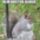Mokus134_1813425_2114_t
