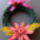 Wwwandakreativblogspothu-001_1813415_7628_t