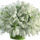 Hovirag__1814220_5348_t