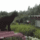 A_szomszed__kertje_mindig_zoldebb_1815363_2662_t