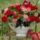 Boldog_nonapot-001_1815982_6610_t