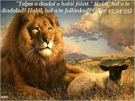 Ige a mai  napra