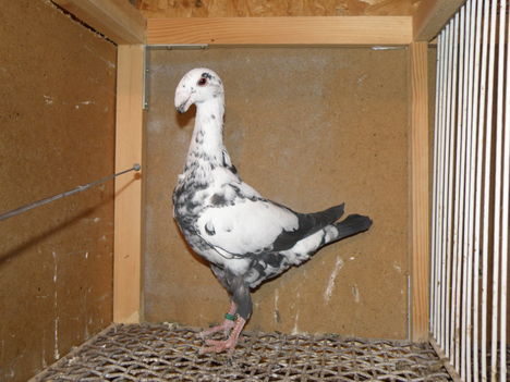P3072048