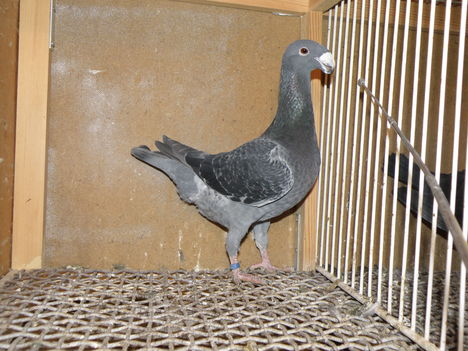 P3072050