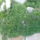 P1150845_1816550_4737_t