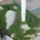 P1150854_1816559_6980_t