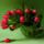 Szep_vasarnap_delutant_1816411_6157_t
