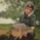 Cuki_de_a_hal_se_rossz187_1817057_8961_t
