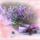Turmezei_erzsebet_bezorget_mindenutt_1817366_9127_t