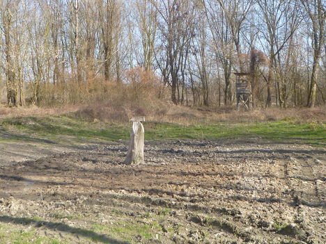 Vadetető és vadászles a "Tábor" területén, Kisbodak 2014. március 10.-én