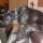 Kutyoka_1818679_9898_t