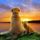 Naplemente_a_tengernel_1818330_5263_t