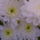 5402115568_pict0109_1819069_9743_t