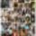 67956_552552498100532_1010636187_n_masolata_1819740_2490_t