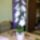 Cam00069_1819659_9047_t