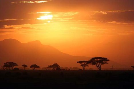 Szerengeti, Tanzánia